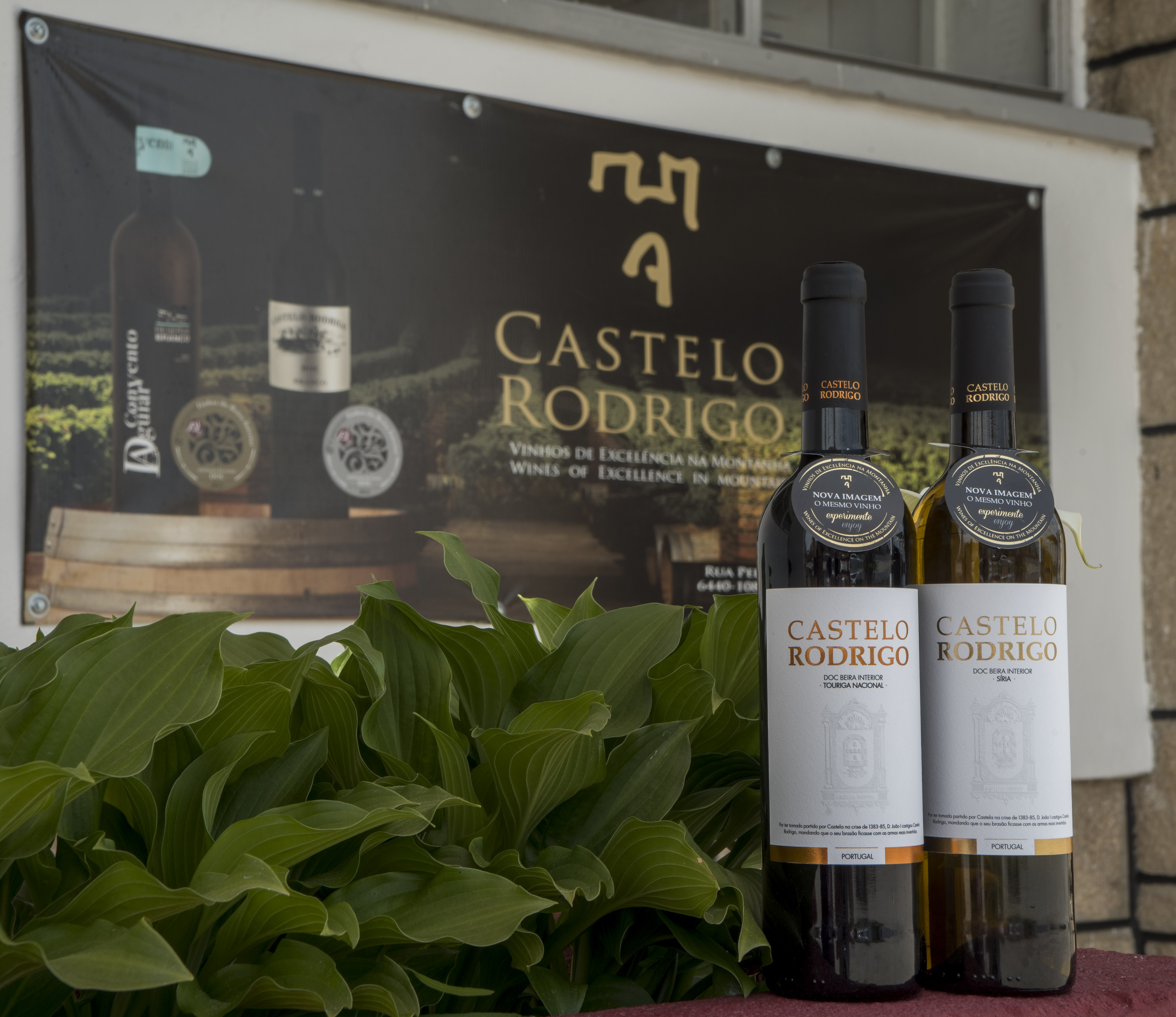 New Image But The Wine is The Same