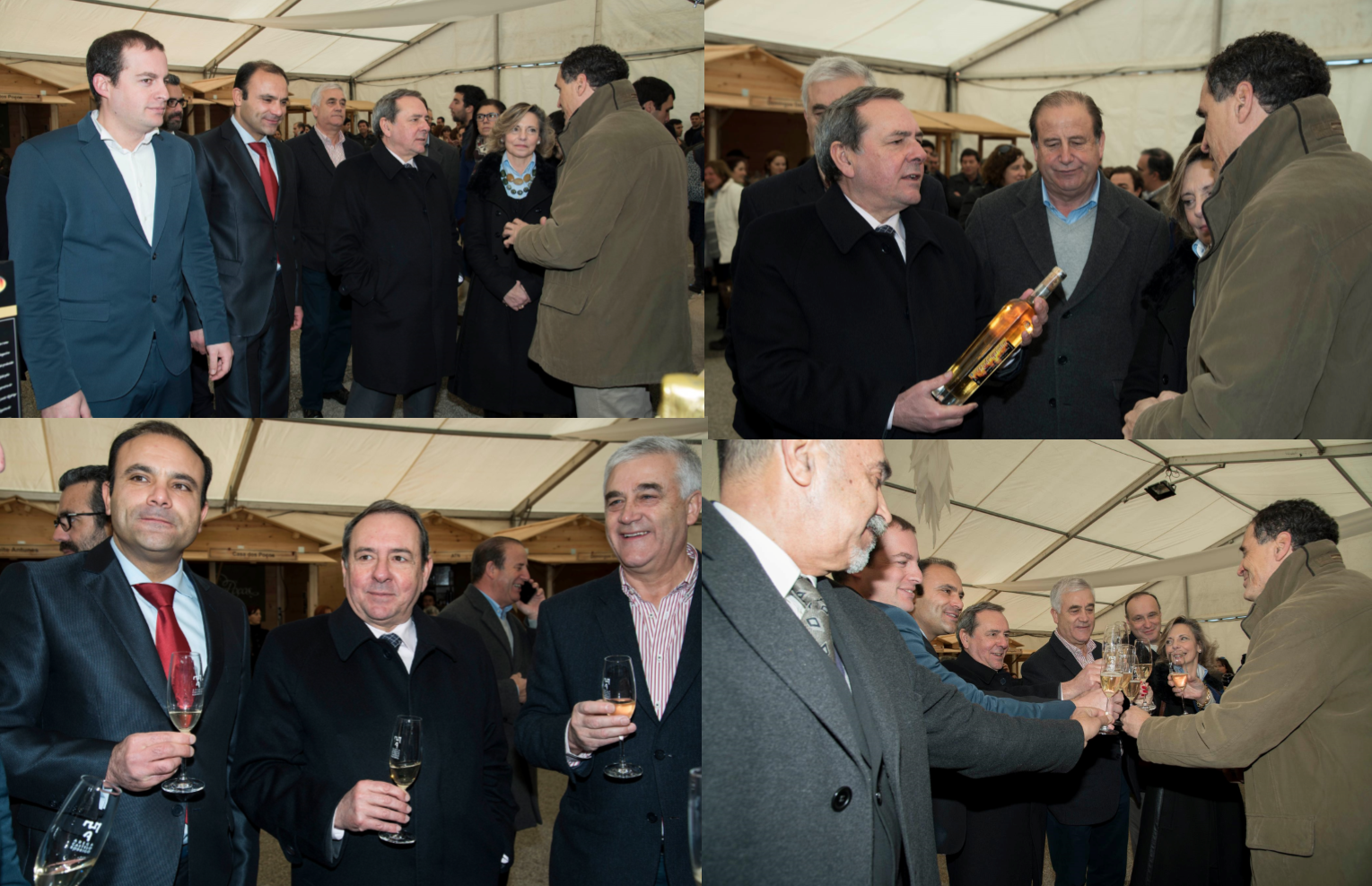 Queen Almond Blossom - 2016